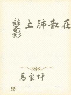 双上肺散在结节影