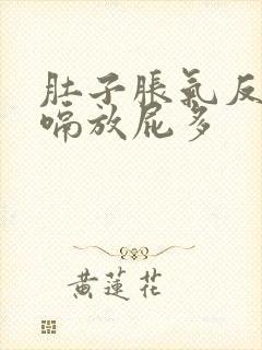 肚子胀气反酸打嗝放屁多封面