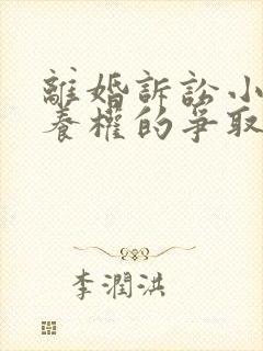 离婚诉讼小孩抚养权的争取封面