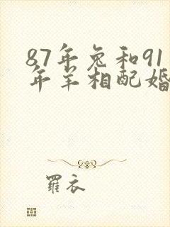 87年兔和91年羊相配婚姻如何