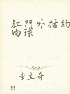 肛门外括约肌有肉球