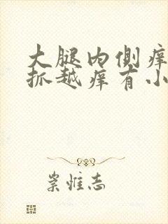 大腿内侧痒痒越抓越痒有小红疙瘩什么原因封面