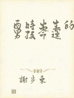 酉时出生的属蛇男孩命运