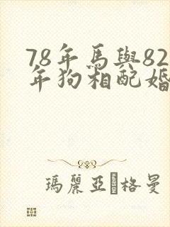 78年马与82年狗相配婚姻如何