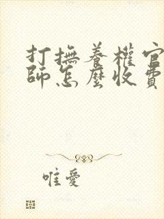 打抚养权官司律师怎么收费