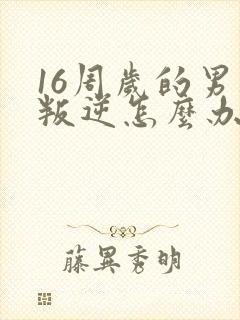 16周岁的男孩叛逆怎么办