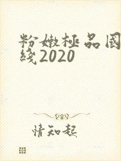 粉嫩极品国产在线2020封面