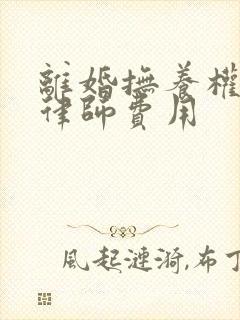 离婚抚养权官司律师费用