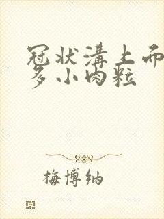 冠状沟上面有很多小肉粒封面