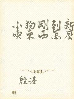 小狗刚到新家不吃东西怎么办封面