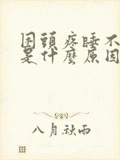 困头疼睡不着觉是什么原因封面