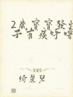 2岁宝宝发烧嗓子有痰呼噜呼噜的怎么办