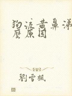 狗流黄鼻涕是什么原因