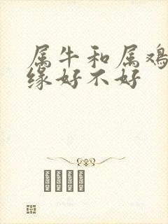 属牛和属鸡的姻缘好不好
