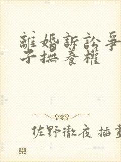 离婚诉讼争夺孩子抚养权