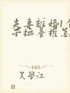 夫妻离婚1个孩子抚养权怎么判定