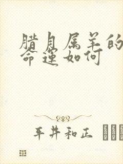 腊月属羊的男孩命运如何