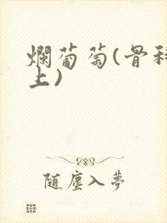 烂葡萄(骨科年上)