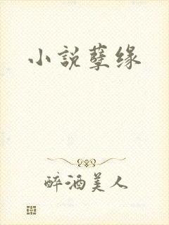小说孽缘