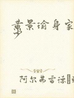 黄景瑜身家有多少