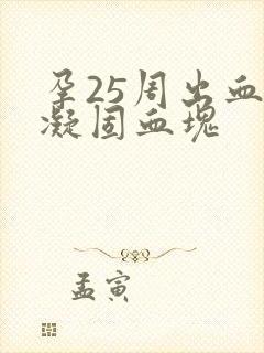 孕25周出血有凝固血块