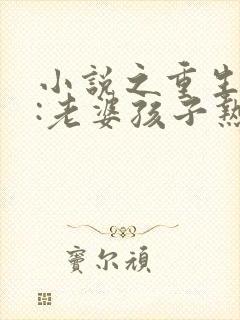 小说之重生79:老婆孩子热炕头