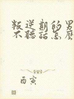 叛逆期的男孩子不听话怎么去沟通