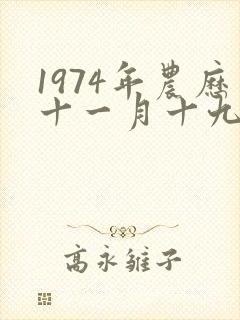 1974年农历十一月十九日出生命运?