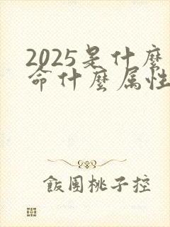 2025是什么命什么属性
