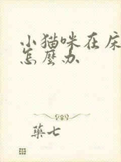 小猫咪在床上尿怎么办