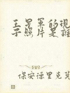 王星军的现任妻子照片是谁