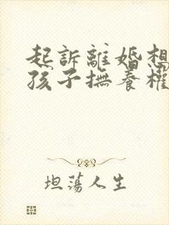 起诉离婚想要回孩子抚养权