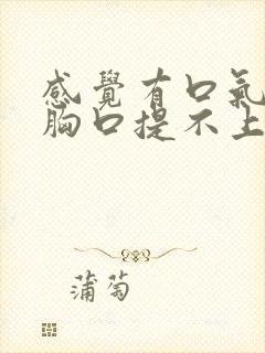 感觉有口气堵在胸口提不上来