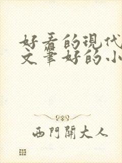 好看的现代言情文笔好的小说