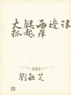 大腿两边很痒越抓越痒封面