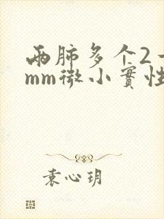 两肺多个2一5mm微小实性结节