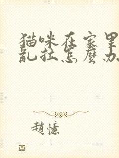 猫咪在家里乱尿乱拉怎么办