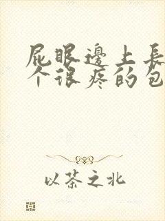 屁眼边上长了一个很疼的包封面