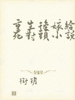 重生后嫁给前夫死对头小说