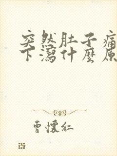 突然肚子痛上吐下泻什么原因造成的