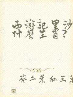 西游记里沙僧是什么生肖?