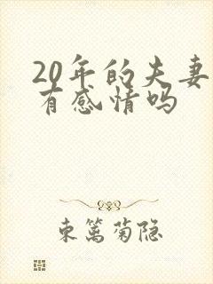 20年的夫妻还有感情吗