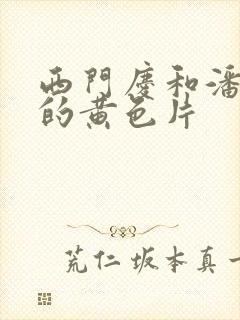 西门庆和潘金莲的黄色片