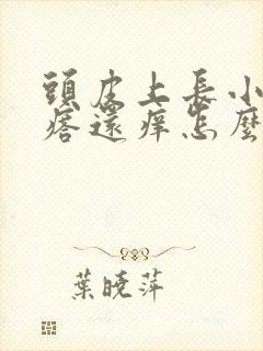 头皮上长小红疙瘩还痒怎么回事