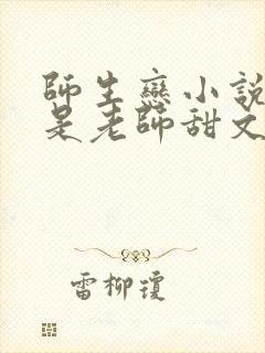 师生恋小说女主是老师甜文小说推荐封面