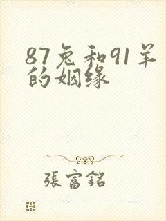 87兔和91羊的姻缘