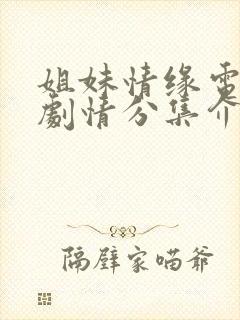 姐妹情缘电视剧剧情分集介绍