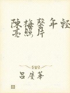 陈梅馨年轻时漂亮照片