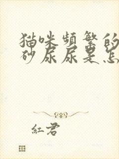 猫咪频繁的去猫砂尿尿是怎么回事