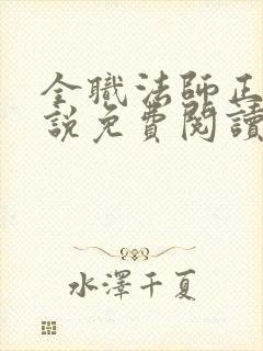 全职法师正版小说免费阅读